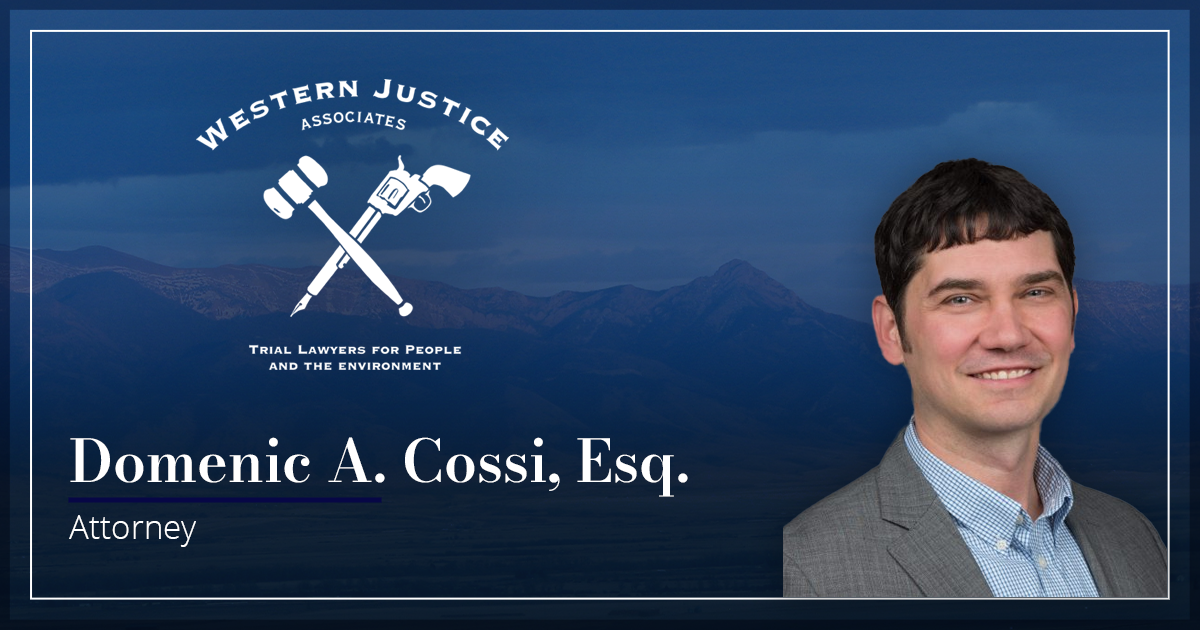 Domenic A. Cossi - Trial Attorney