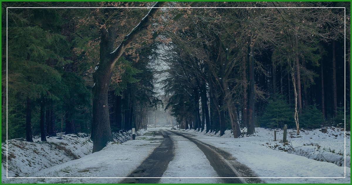 The Safest Way To Drive on Snowy Roads